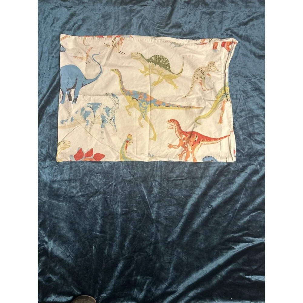 Pottery Barn 26x19 replacement